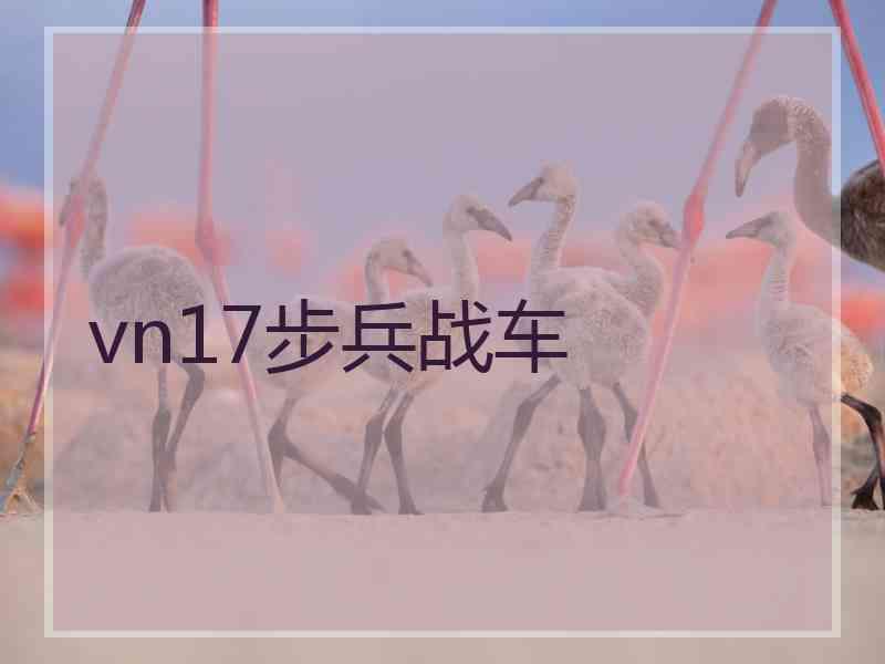 vn17步兵战车