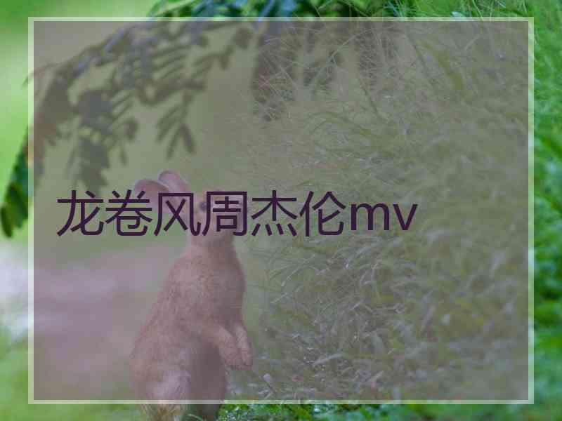 龙卷风周杰伦mv