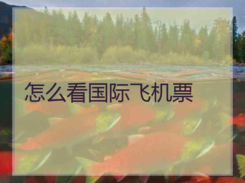 怎么看国际飞机票
