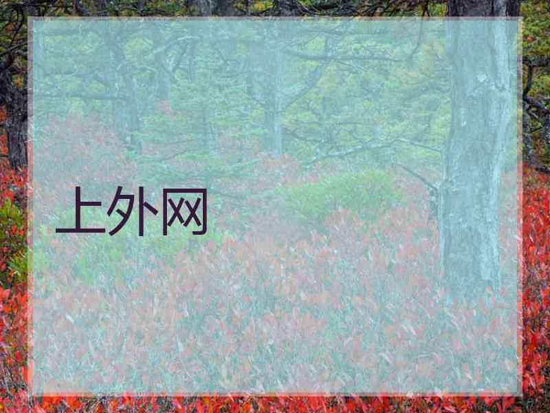 上外网