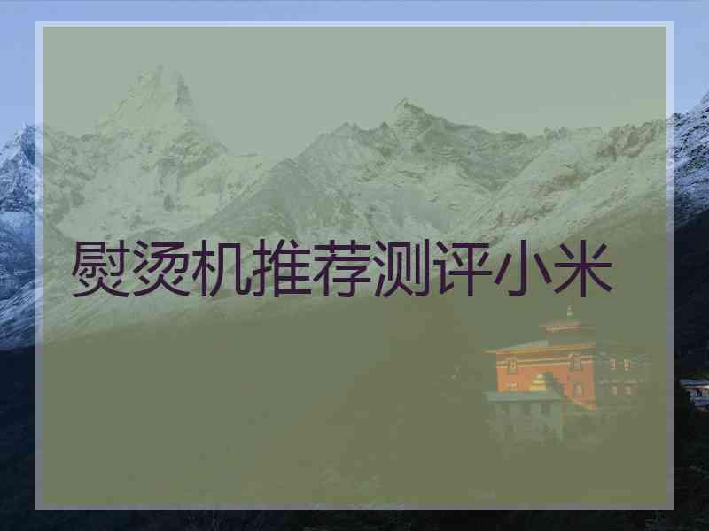 熨烫机推荐测评小米