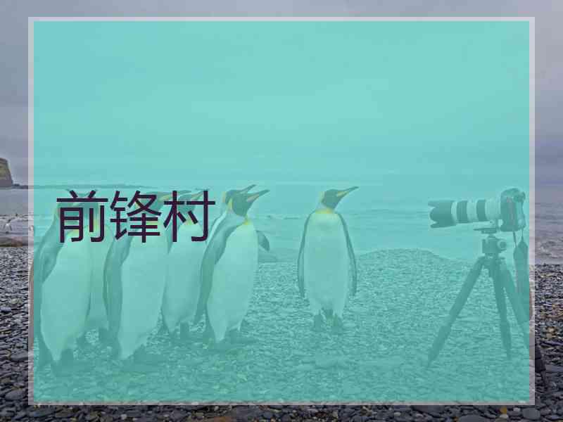 前锋村