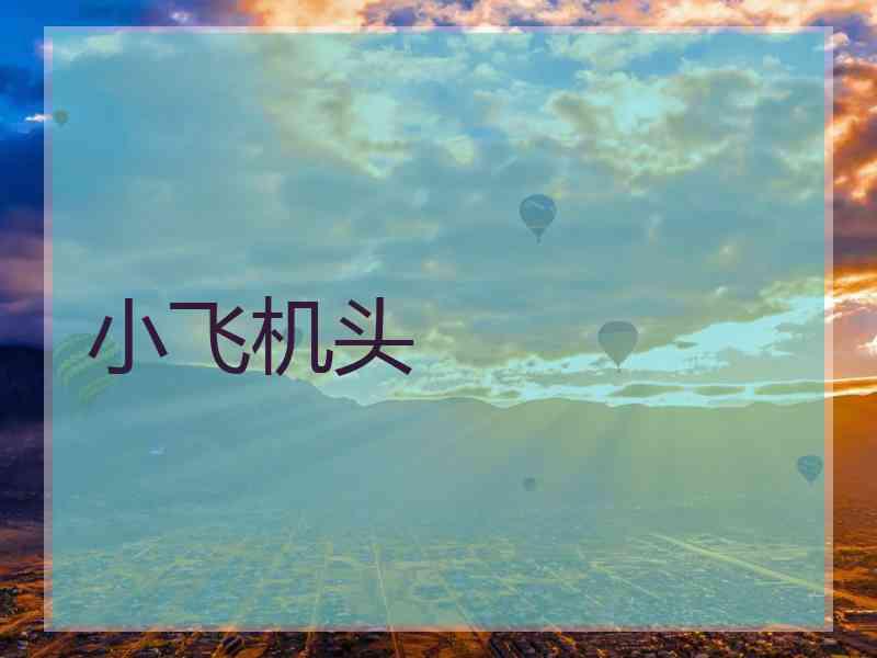 小飞机头