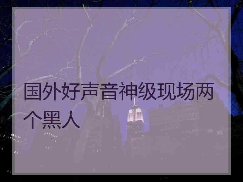 国外好声音神级现场两个黑人
