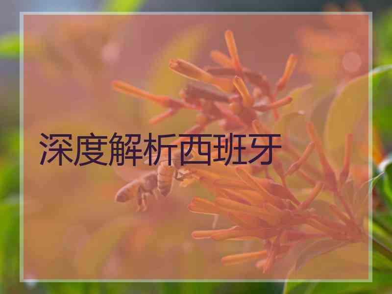 深度解析西班牙