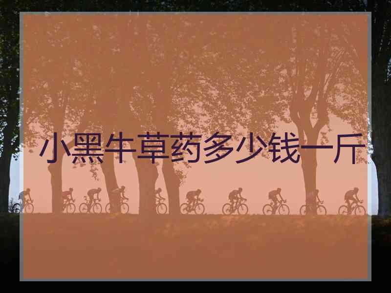 小黑牛草药多少钱一斤