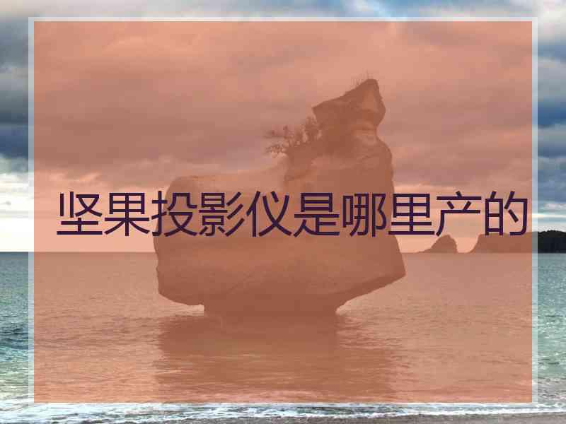 坚果投影仪是哪里产的
