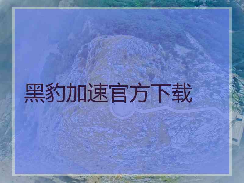 黑豹加速官方下载