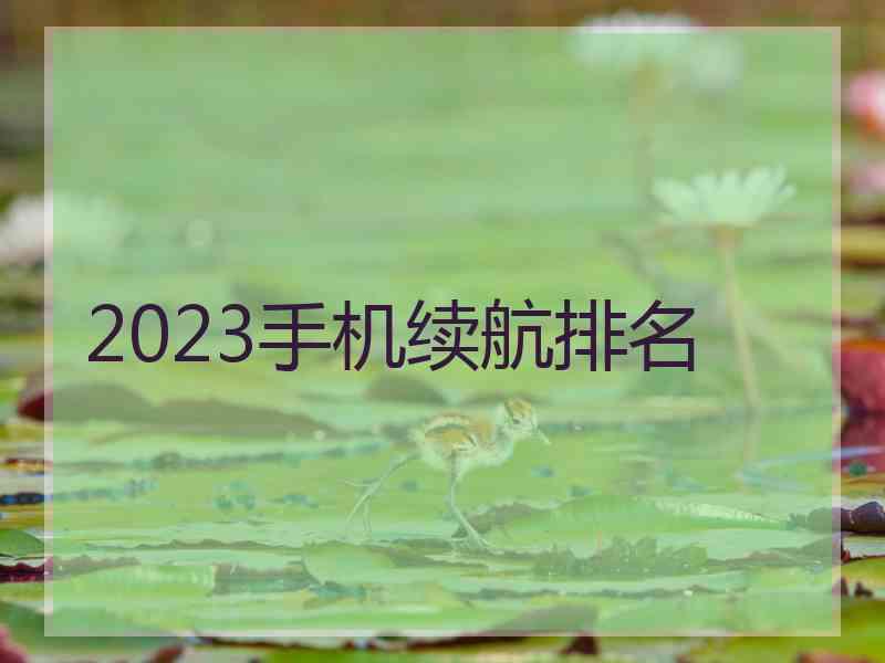 2023手机续航排名