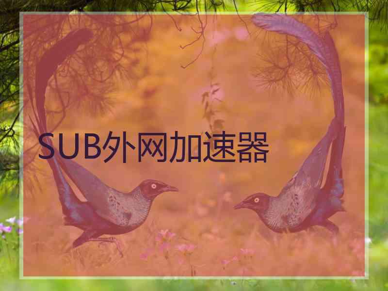 SUB外网加速器