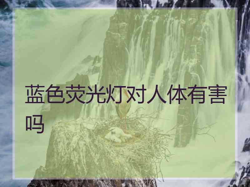 蓝色荧光灯对人体有害吗