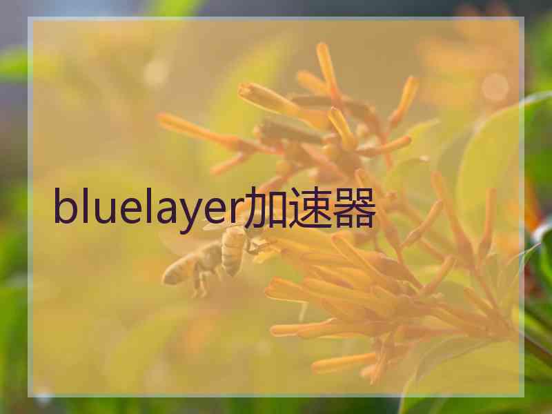 bluelayer加速器