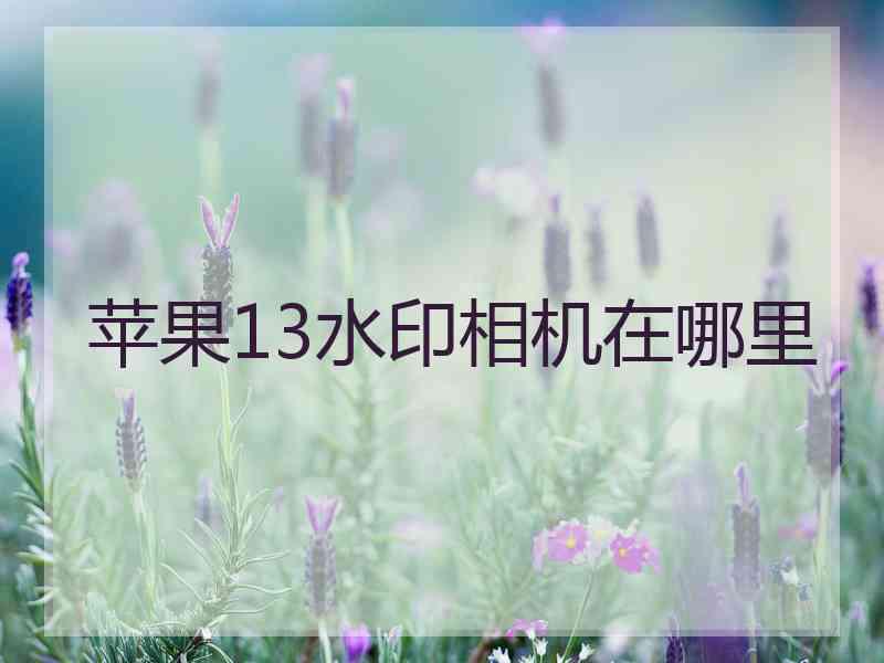 苹果13水印相机在哪里