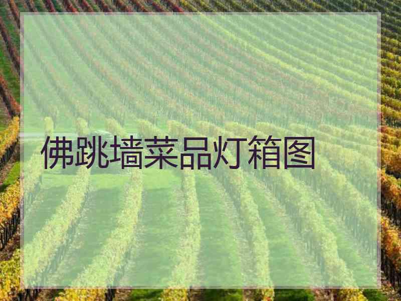 佛跳墙菜品灯箱图