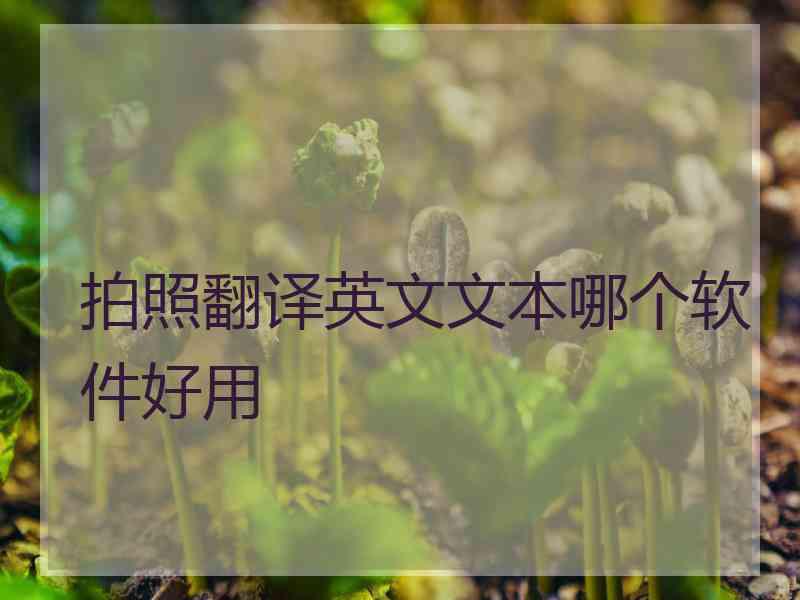 拍照翻译英文文本哪个软件好用