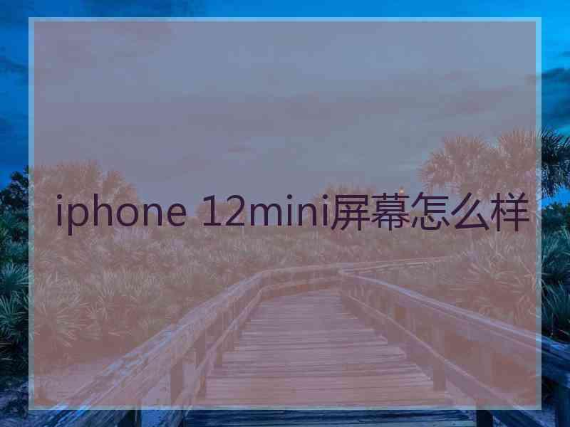 iphone 12mini屏幕怎么样