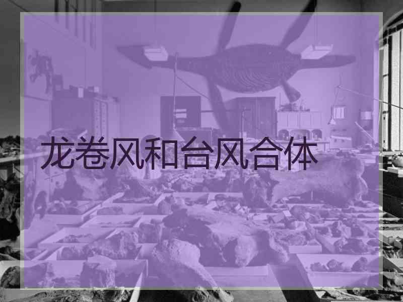 龙卷风和台风合体