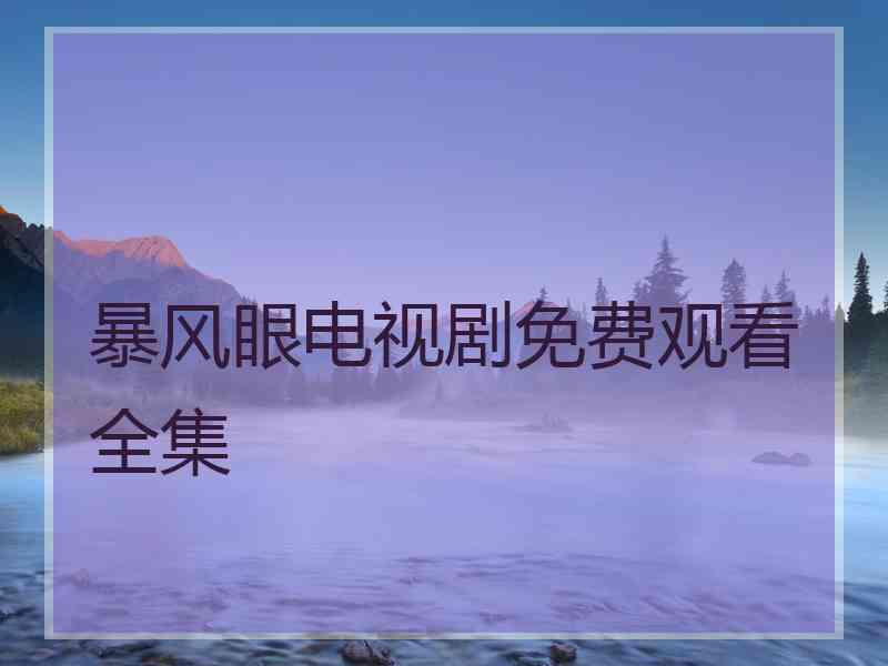 暴风眼电视剧免费观看全集