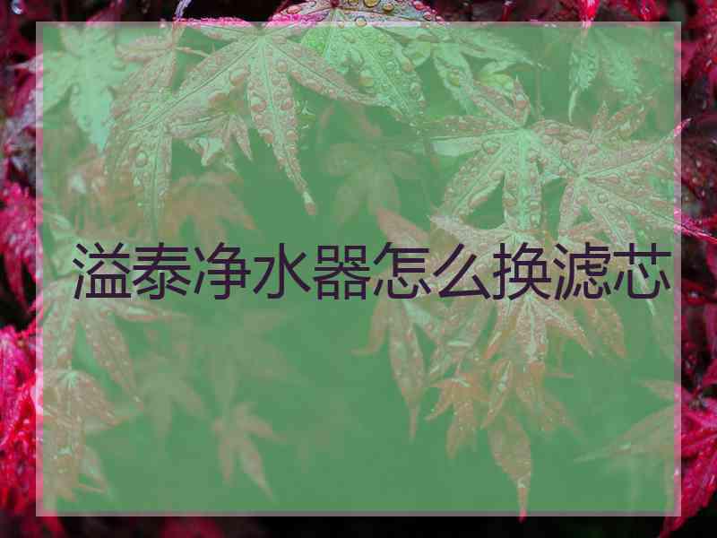 溢泰净水器怎么换滤芯