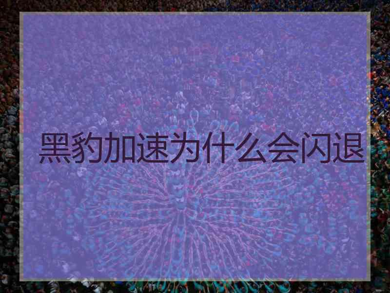 黑豹加速为什么会闪退