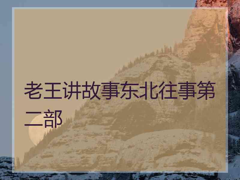 老王讲故事东北往事第二部