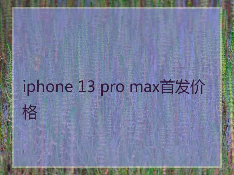 iphone 13 pro max首发价格