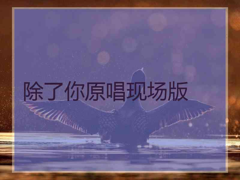 除了你原唱现场版