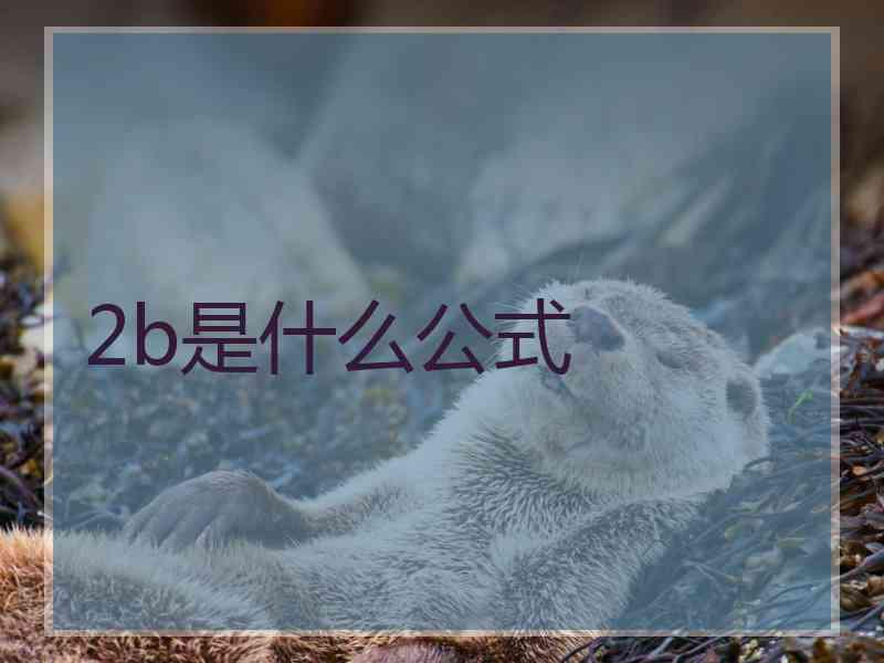 2b是什么公式