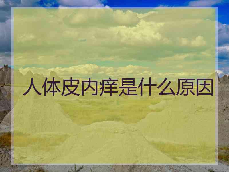 人体皮内痒是什么原因
