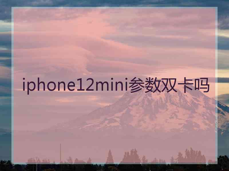 iphone12mini参数双卡吗