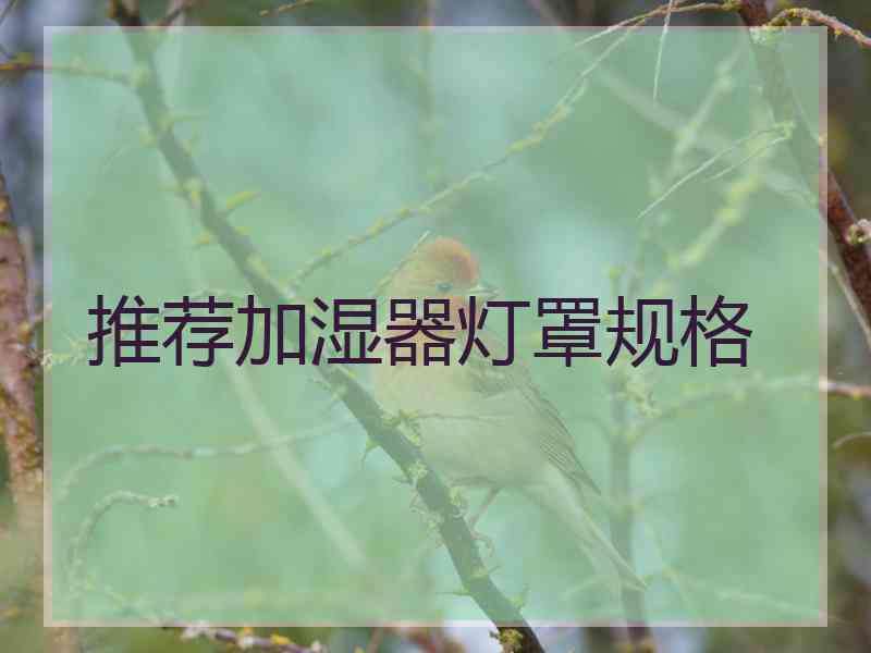 推荐加湿器灯罩规格