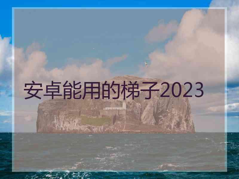 安卓能用的梯子2023