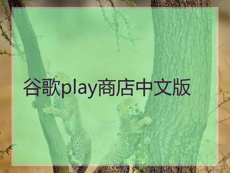 谷歌play商店中文版