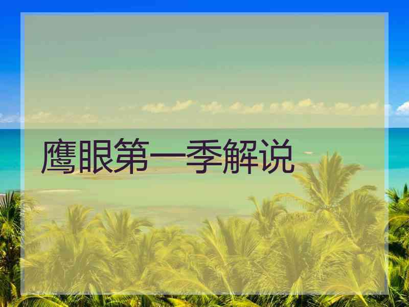鹰眼第一季解说