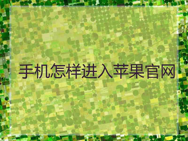 手机怎样进入苹果官网