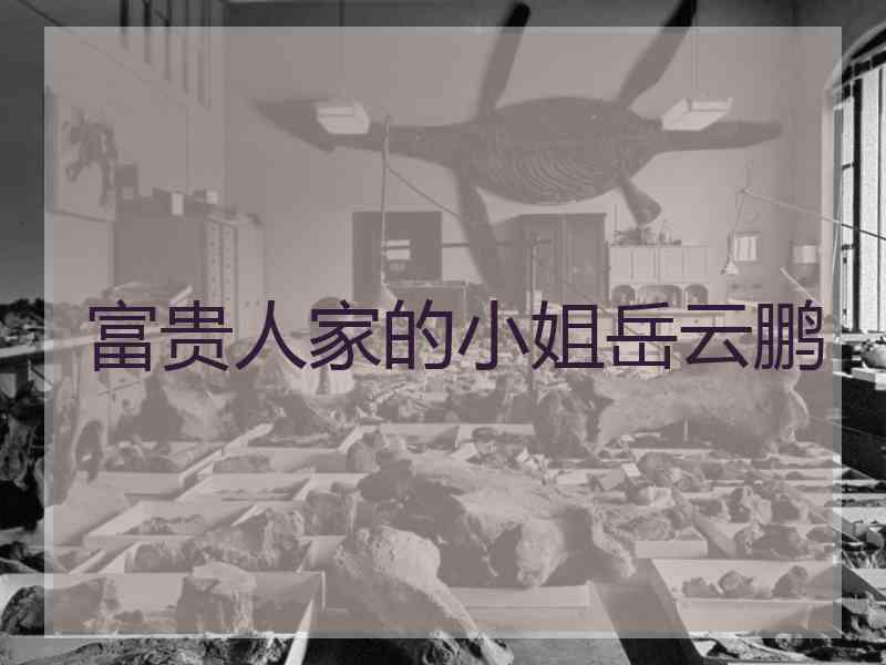 富贵人家的小姐岳云鹏