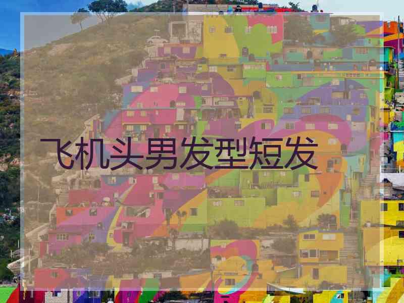 飞机头男发型短发