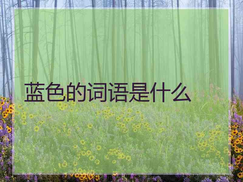 蓝色的词语是什么