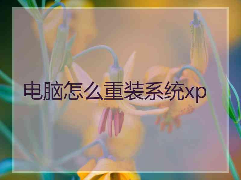 电脑怎么重装系统xp