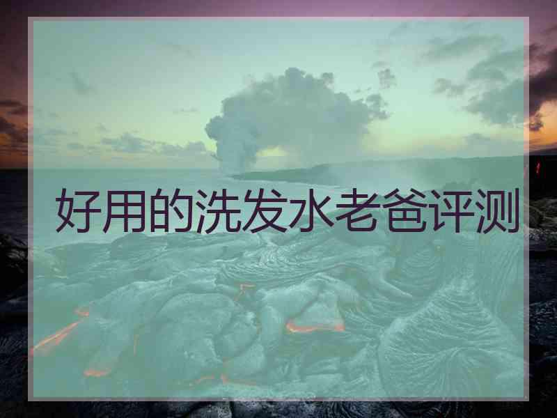好用的洗发水老爸评测
