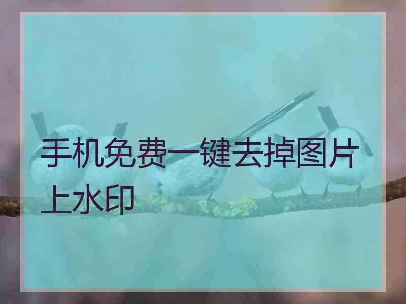 手机免费一键去掉图片上水印
