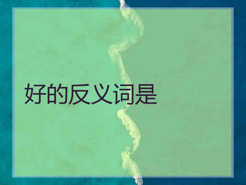 好的反义词是