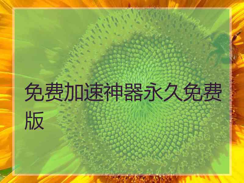 免费加速神器永久免费版