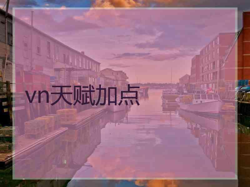 vn天赋加点