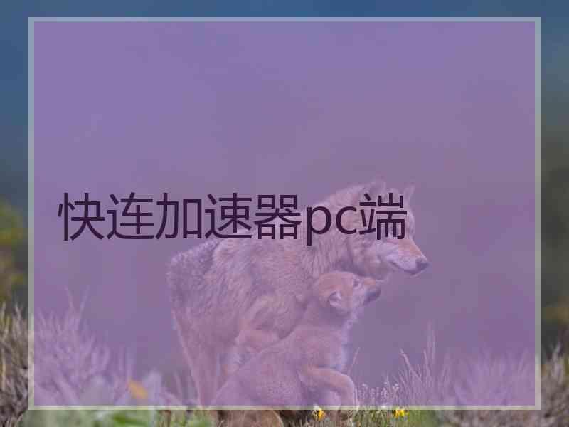 快连加速器pc端