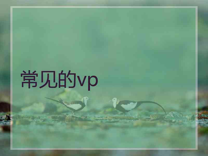 常见的vp