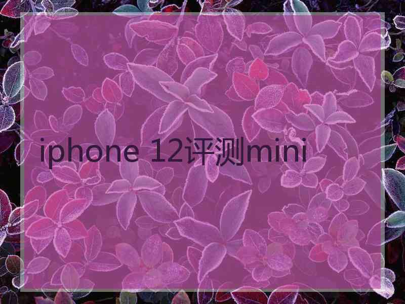 iphone 12评测mini