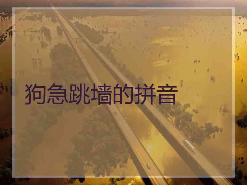 狗急跳墙的拼音