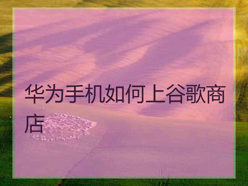华为手机如何上谷歌商店
