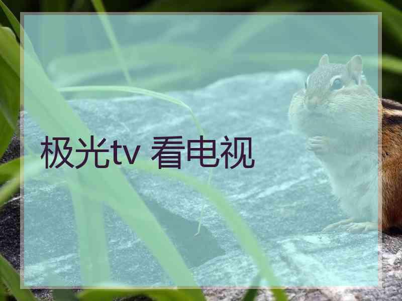 极光tv 看电视